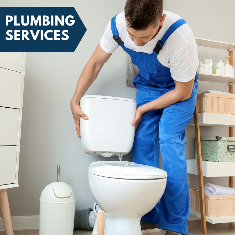 Plumbing Company in Lewisville, ID